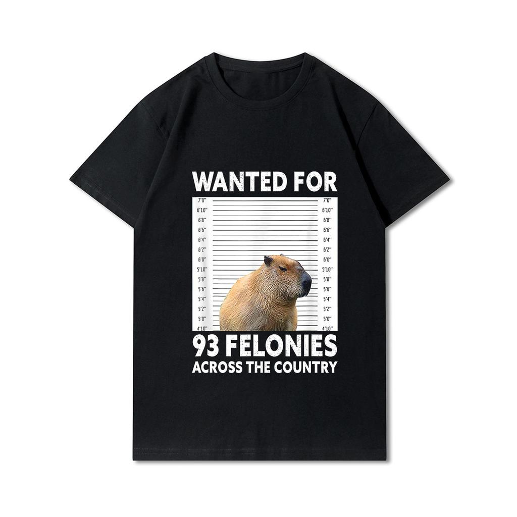 Velká velikost S-5XL Kapybara s předním potiskem Unisex trička s kulatým výstřihem Bavlněné topy Ležérní trička