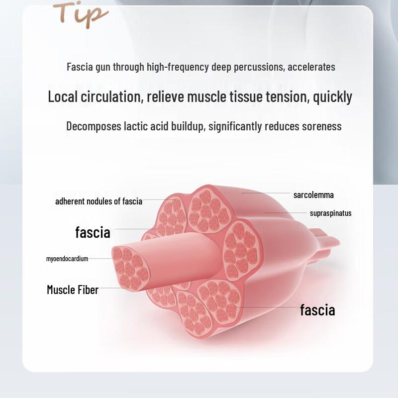 AUX Professional Black Gold Percussion Massager