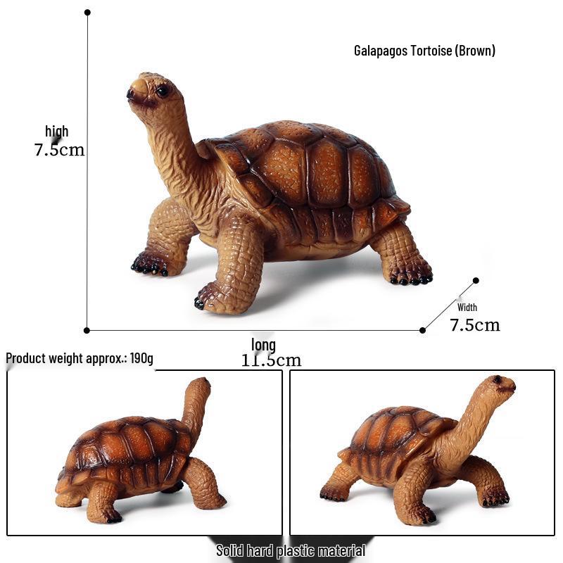 Cross-Border Children's Cognitive Amphibian & Reptile Tortoise Model Fish Tank Ornament Toy