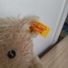 [USED] Steiff Classic Teddy Bear