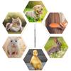 Edelstahl Zecken- und Flohzange für Haustiere - Einzelkopf für Hunde & Katzen.