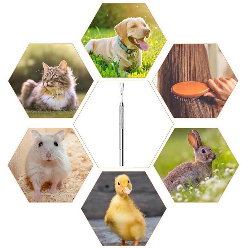 Edelstahl Zecken- und Flohzange für Haustiere - Einzelkopf für Hunde & Katzen.