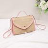 New Straw Woven Simple Women's Bag Fashion Shoulder Bag Niche Women's Messenger Bag One Piece