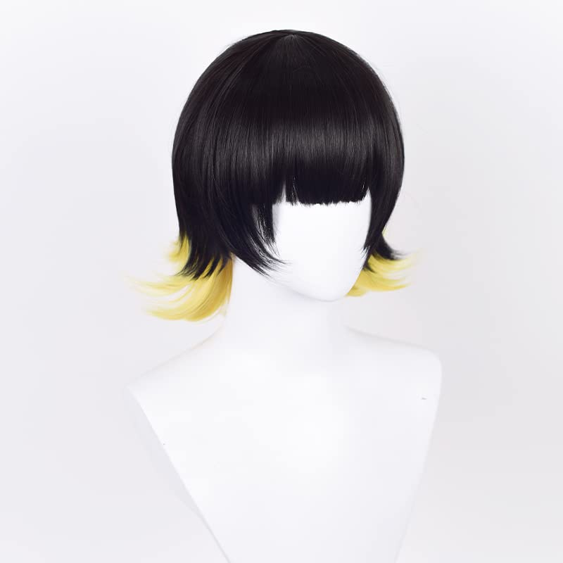 Blaues Locken-Stil Horaku Mawaki Perücke, Cosplay Perücke, Hitzebeständig, Schulveranstaltungsperücke mit Netz (Horaku Mawaki [Perücke])