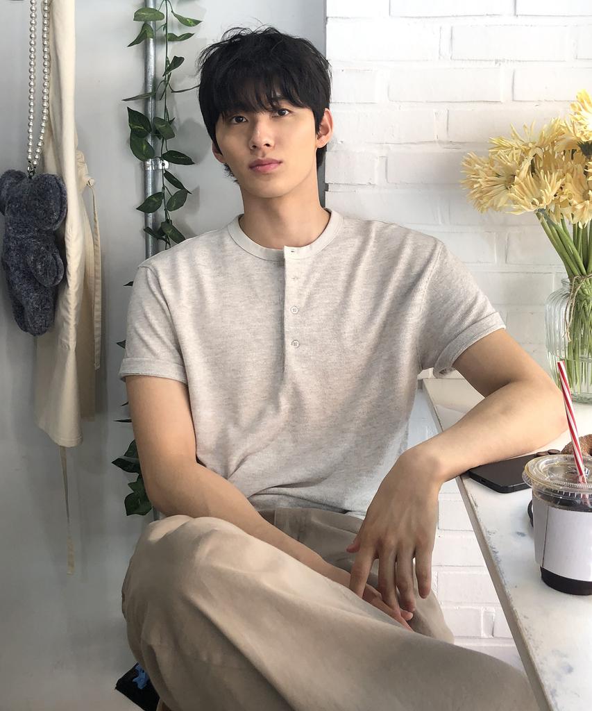 Dei [Henley Neck, Round] Semi-Crop Knit Short Sleeve T-Shirt (2 Stries) (B Type)
