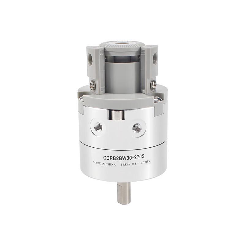 XINGGUAN Vane Type Rotary Cylinder