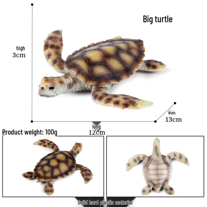 Children's Cognitive Marine Animal Models: Sea Turtle and Tortoise Toys