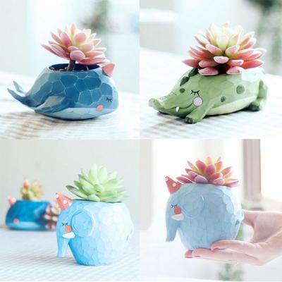 Niedliche Tiere Blumentöpfe für Sukkulenten Pflanzen Krokodil Wal Dinosaurier Elefant Pflanzgefäße Bonsai Heim Desktop Dekoration