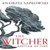 Baptism of Fire by Andrzej Sapkowski Paperback Book 9781399611435