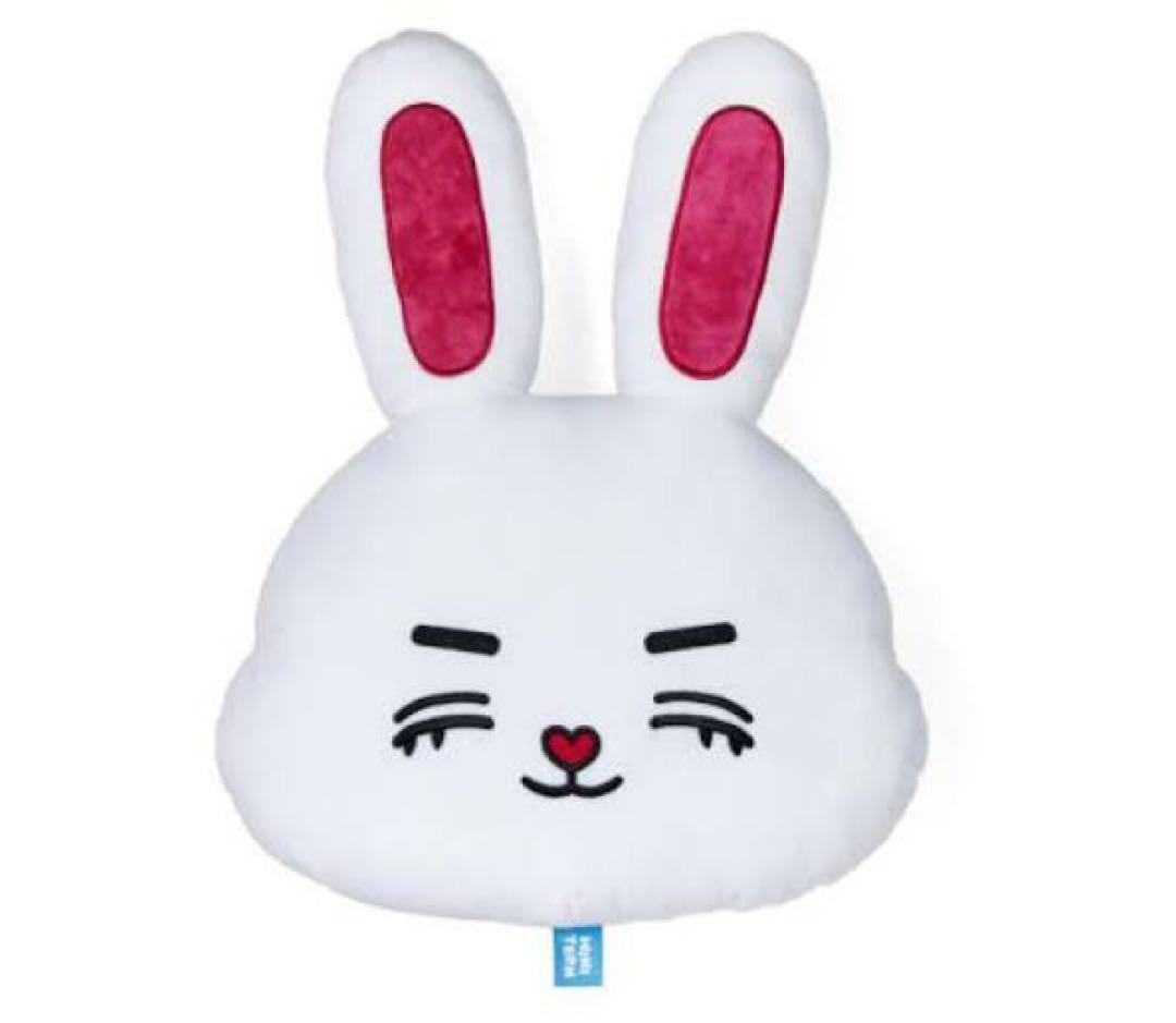 

[USED] SEVENTEEN Miniteen S.Coups cushion with bonus trading card