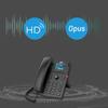 Fanvil X303P IP Phone (CN Version)