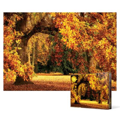 Colorful Fall Foliage of Oak Trees - 1000 Piece Jigsaw Puzzle, Popular Korean Puzzle