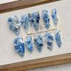 Blue Gradient Butterfly Medium Pointed False Nail Tips