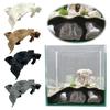 Rest Betta Cave 3D Printing Fish Hideout Stones House Feeding Breeding House  Fish Tank Decorations