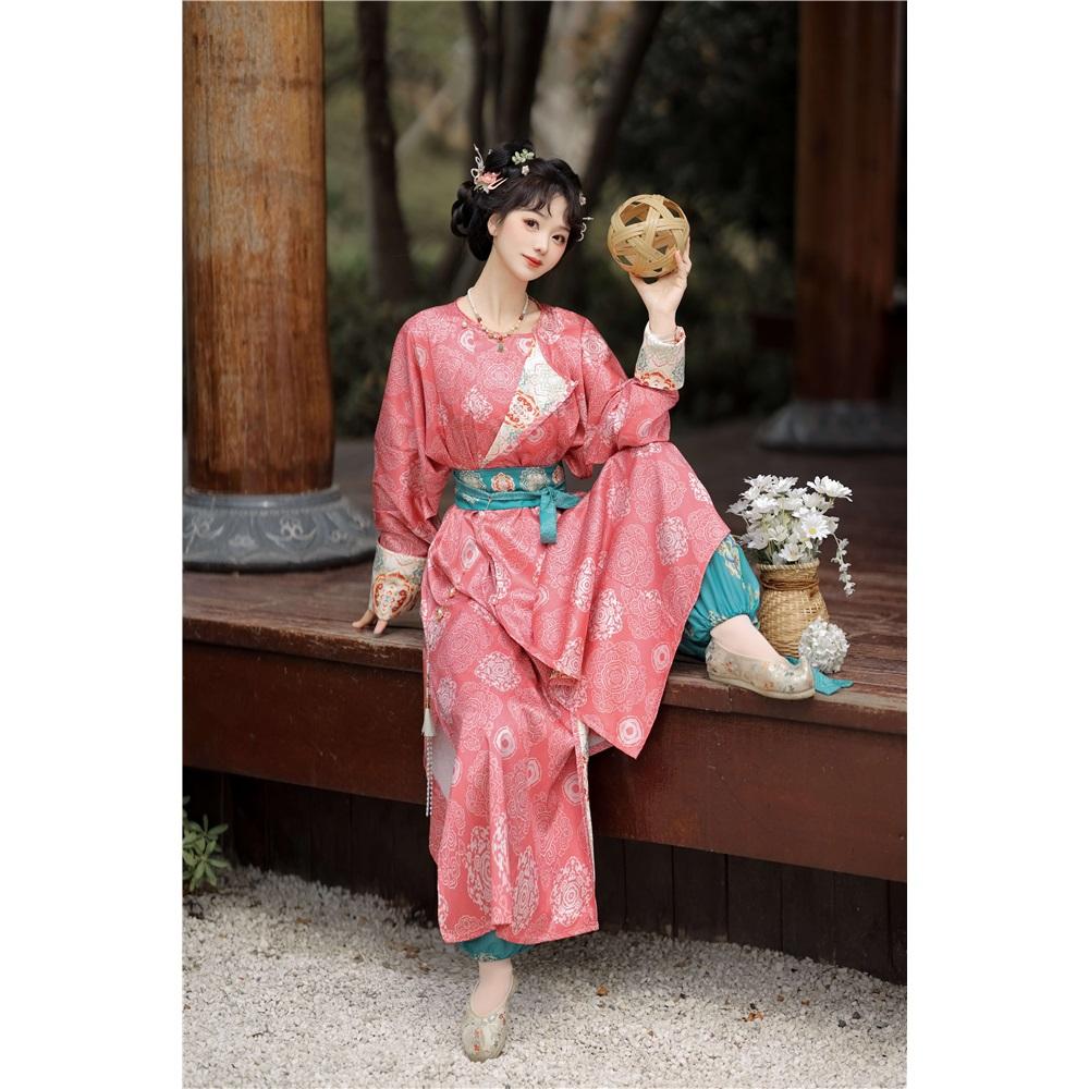 Chinese Tang Dynasty Style Hanfu Round Neck Robe Embroidered Bloomers Daily Suit