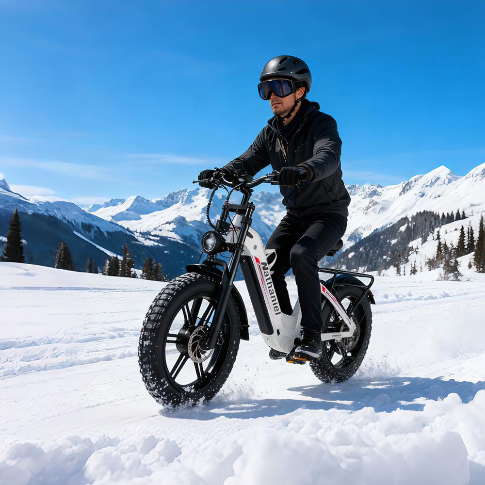 Nathaniel SYR08 City Commuting E-Bike, Doppelmotor 2000W, 20x4.0 Integriertes Rad, 48V20AH, Geschwindigkeit 50+, Schnee/Sand Outdoor-Fahrrad