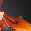 Microfoane Profesionale de Captare Sunet Amplificare High-Fidelity Reîncărcabile pentru Instrumente cu Coarde, Suflătoare din Alamă, Suflătoare