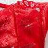 European, American and Dongfeng Sexy Seduction Lace Embroidery Sexy Underwear Red Suspender Sex Bra Underwear Set