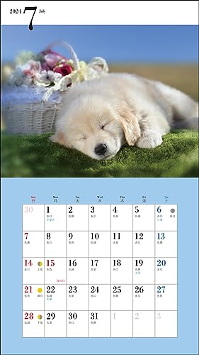 2024 Calendar Cute Golden Retriever (Seibundo Shinkosha Calendar)