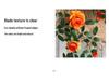 Artificial Rose Vine for Outdoor Decor - Hanging, Shading & Balcony Beautification