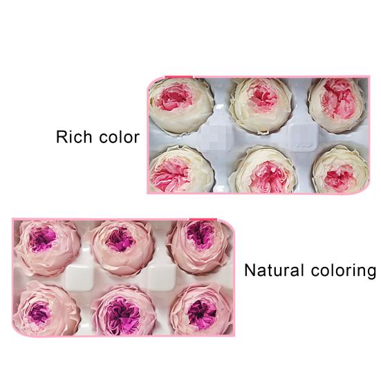 8 ks/krabice Konzervované květiny Měkká textura DIY aranžmá více barev Falešné růže DIY kytice Domácí dekorace