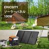ERICSITY Solarpanel 100W Faltbares Solarladegerät Solarpanel Neuestes ETFE-Einzelkristall Hohe Umwandlungsrate Schnelles Laden IP65 Wasserdicht und