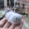 Scatola Trasparente per Ricordi di Pelo di Animale Cartone Animato Portachiavi Organizzatore in Pelliccia di Animale Carino Coniglio Portachiavi Ciondolo Borsa Souvenir per Animali