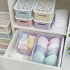 Hollow Desktop Underwear Storage Box with Lid - Plastic Drawer Organizer for Bras & Underwear