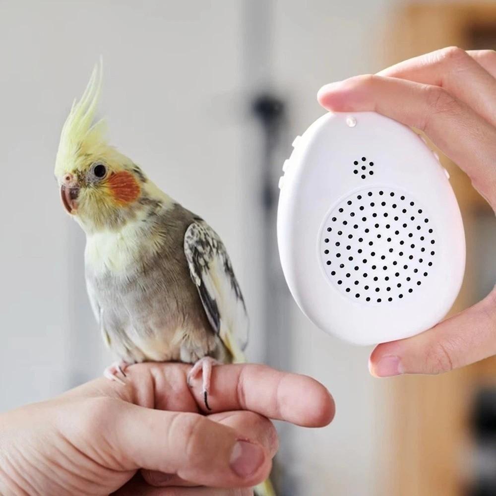 Playback Parrot Teach Talking Recording Bird Repeater Portable Bird Learning Machine  Bird Training