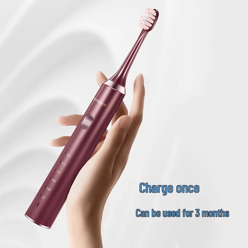 FLYCO FT7205 Sonic Electric Toothbrush CN Plug (adapter Included)