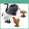 Ensemble de Décoration d'Animaux de Ferme en PVC avec Cygnes, Canards et Poulets Réalistes pour Affichage à la Maison ou au Bureau
