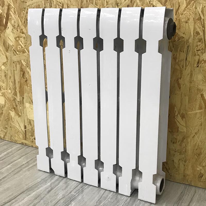 Xin Yu TJ-NT028 Cast Iron Radiator