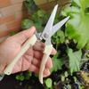 Handmade Pruning Shears: Floral Art & Garden Tools for Fruit Trees