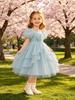 New Girl Puff Sleeve Princess Dress - Stylish Kids' Birthday Party & Formal Wear
