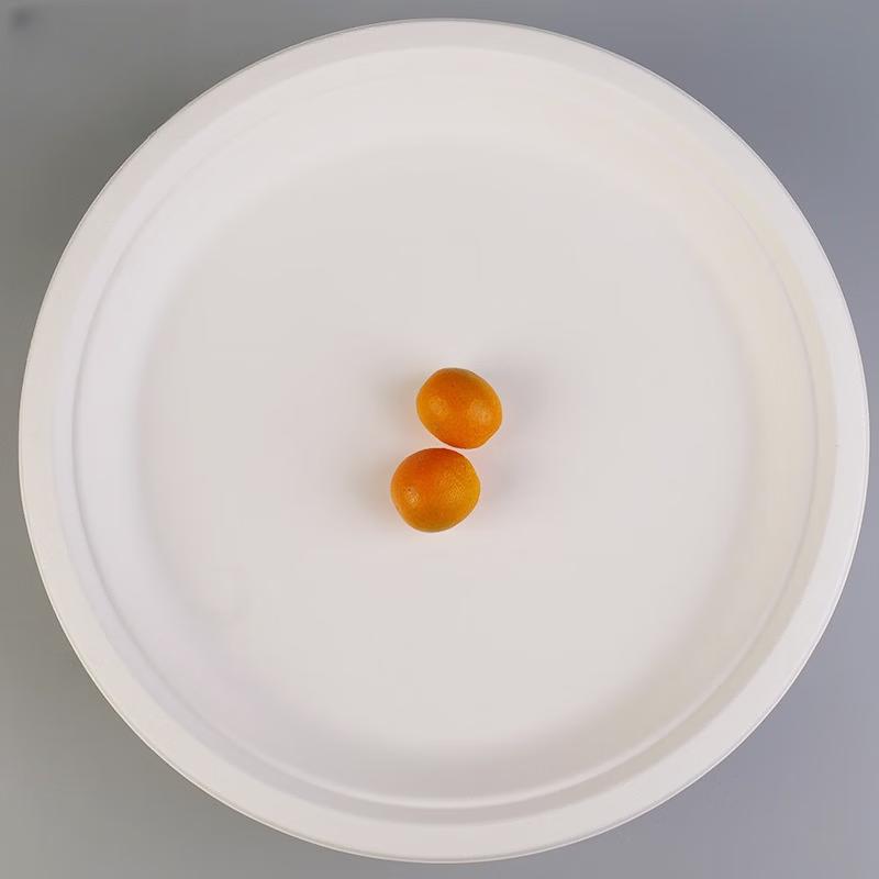 Disposable White Round Paper Plates