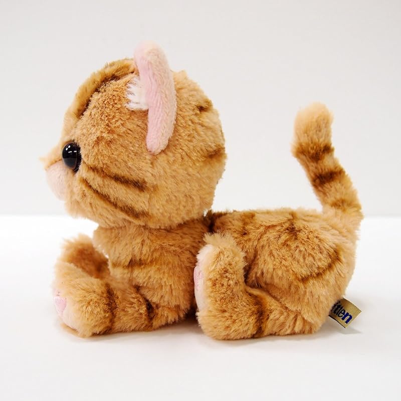 Sun Lemon Kitten American Shorthair Brown Plush Animal Cat P-7531 14.9 X 16.3 X 7.2 Cm