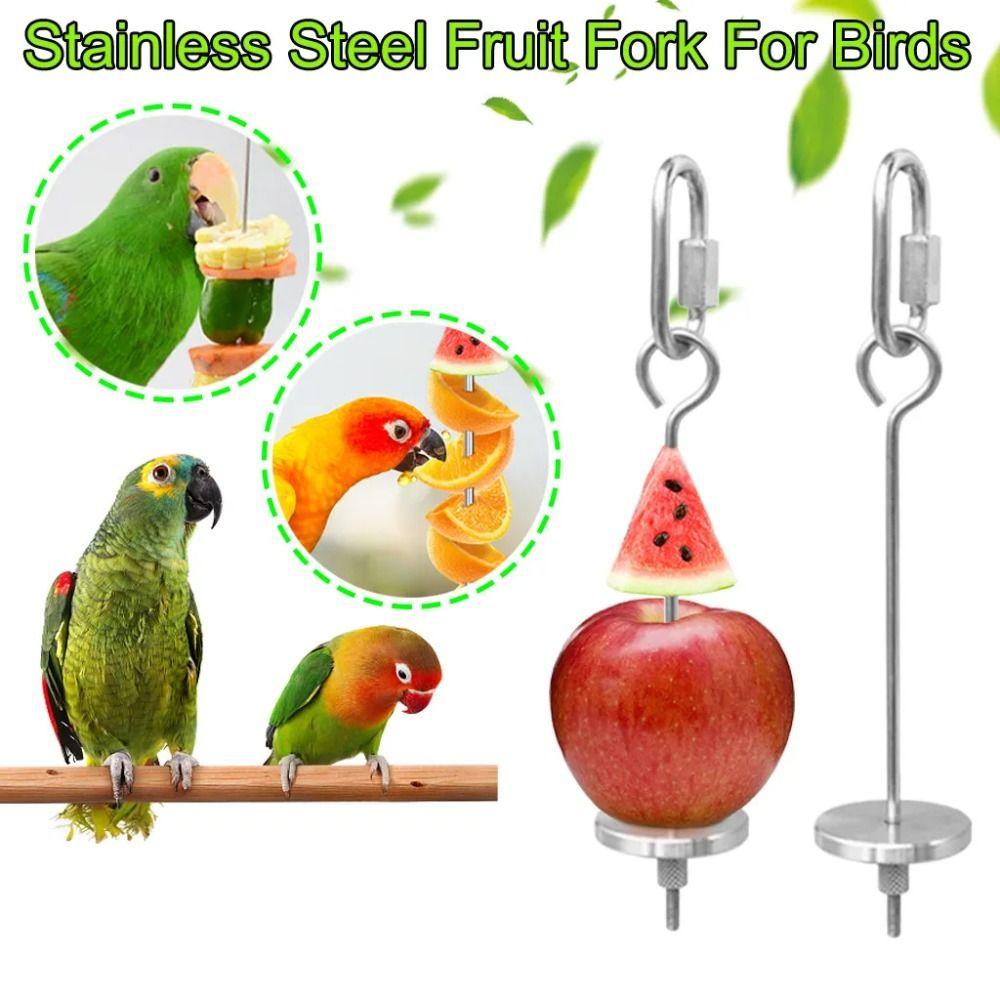 2Pcs Rust-proof Bird Cage Food Holder Parrot Fruit Skewers  For Macaw Parakeet Parrot Budgie