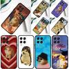Doge Dog Cheems Meme Cover For Samsung Galaxy M20 M30s M33 M13 M23 M53 M15 M55 M31 M51 M14 M34 M54 M32 M52 Case