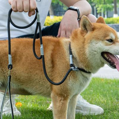 No Pull Dog Training Leash Slip Chain Lead Strong Double Handle Nylon Rope Medium Large Dogs Puppy Reflective Traction Control