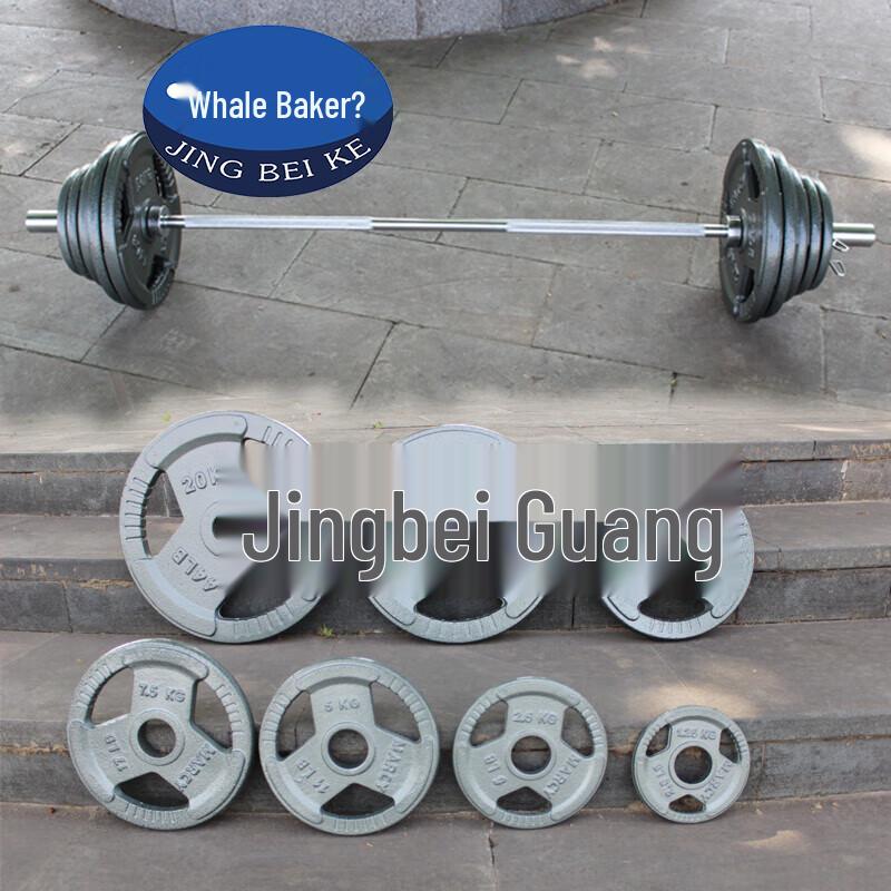 Painted Cast Iron Barbell Weight Plate