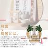 Tonbobo Tsukumo Wall-Mounted Shinto Altar, White Pine