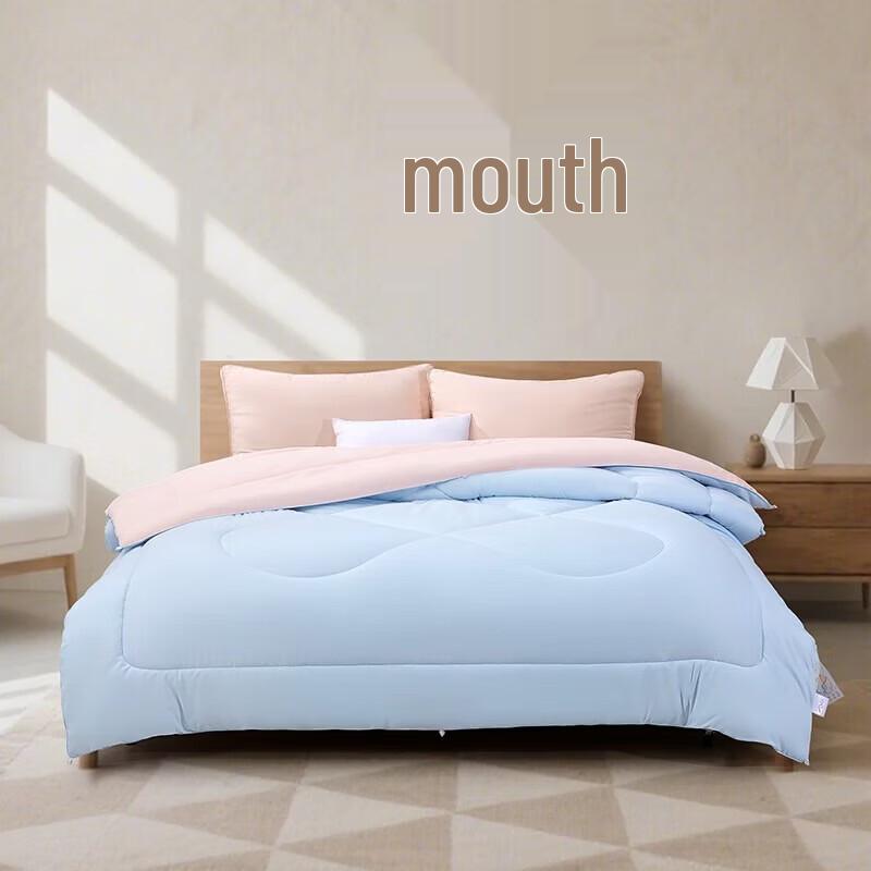 Mercury Home Textiles Seven-Hole Antibacterial Quilt