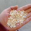 Piedras de Concha de Terrazzo Blanco y Negro de Nácar para Decoración de Acuario y Maceta