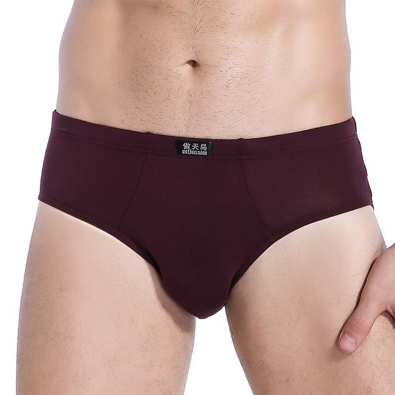 Pánské spodky velkých velikostí Jednobarevné spodní prádlo Modalové kalhotky Chlapecké spodky Velké velikosti Spodní prádlo Sexy spodní prádlo Kalhotky L XL 2XL 3XL 4XL 5XL
