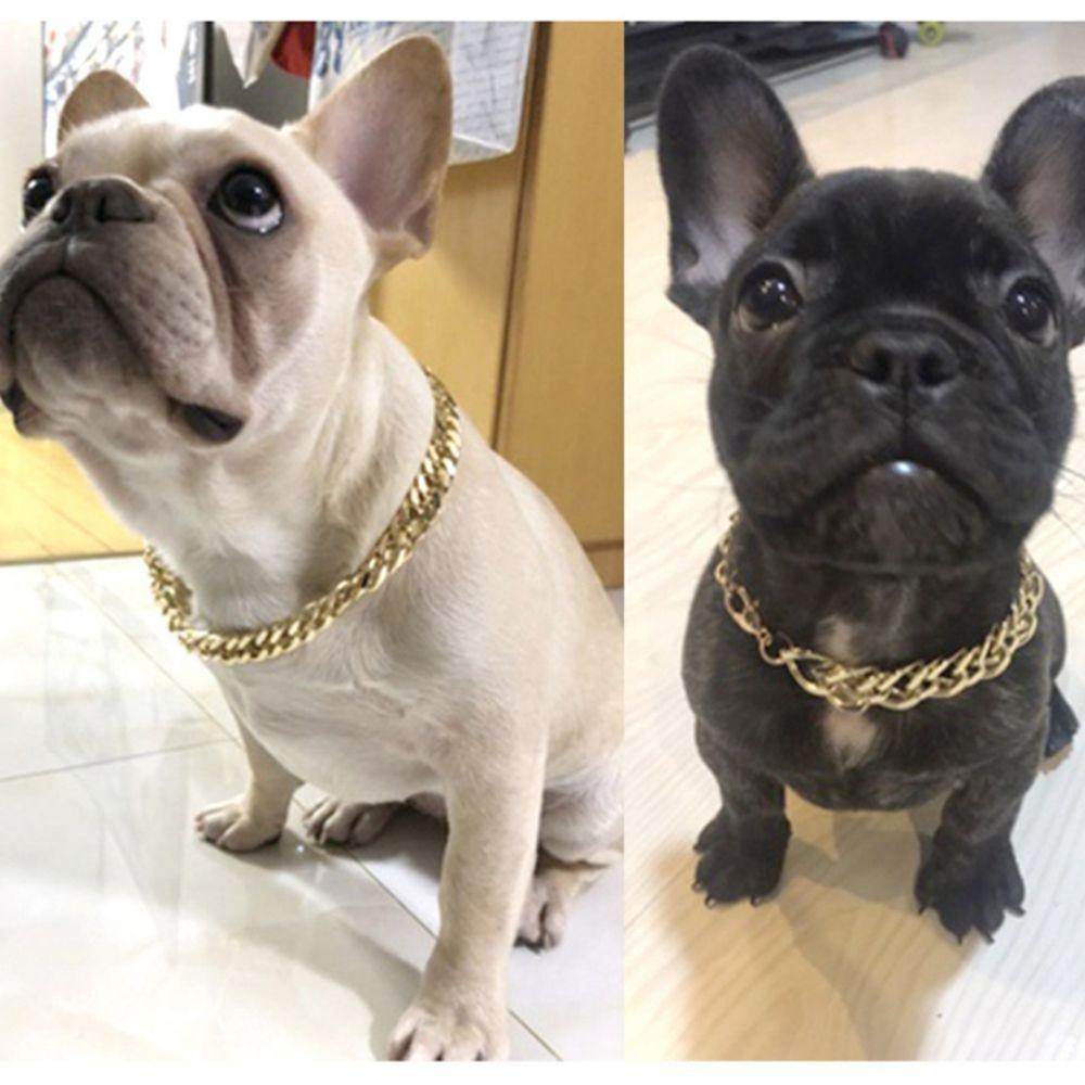 small dog gold chain