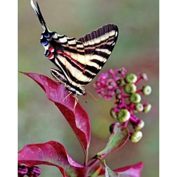 

Алмазная картина, полная круглая дрель, вышивка крестиком, ремесло, Алмазная вышивка, мозаика со стразами, подарок, домашний декор, набор для рукоделия 15x20CM