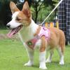 Reflective Pet Harness And Leash Set for Dogs And Cats No Pull Vest Harness with Breathable Mesh Comfort for Small Medium Large