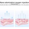 Professional Oxygen Facial Machine,Water Oxygen Sprayer,Portable Handheld Face Skin Moisturizing Nanos Spray Airbrush for Skin Rejuvenation