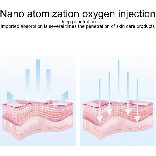 Professional Oxygen Facial Machine,Water Oxygen Sprayer,Portable Handheld Face Skin Moisturizing Nanos Spray Airbrush for Skin Rejuvenation