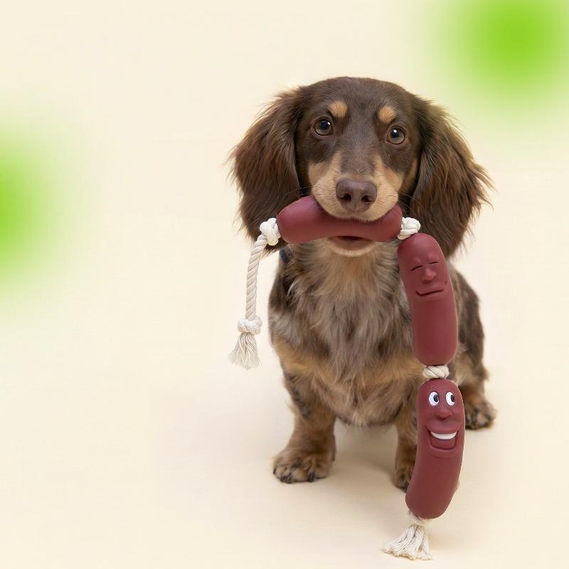 Lustiges Hundewurstförmiges Kauspielzeug - Bissfest Und Nicht Leicht Zu Zerbrechen, Interaktives Trainings-Zahneinwachsspielzeug, Hundekauspielzeug